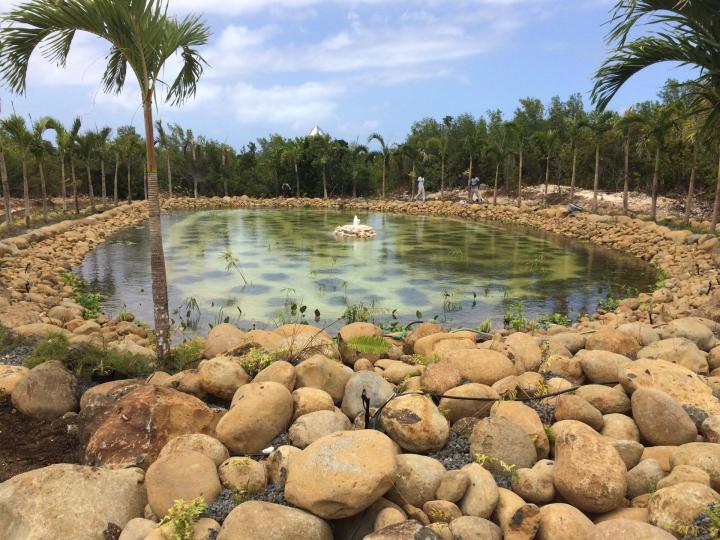 Construction de piscines Guadeloupe